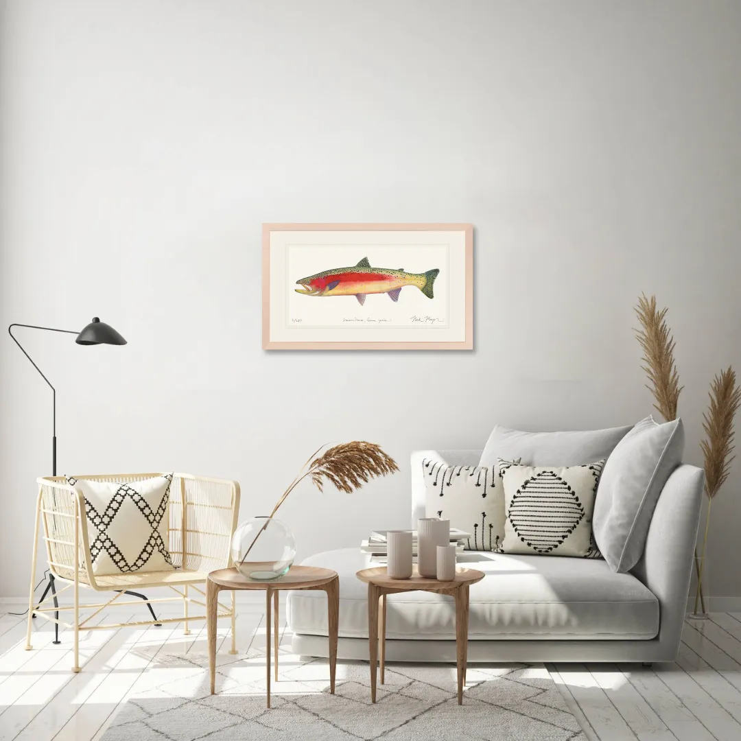 New Zealand Rainbow Trout Print