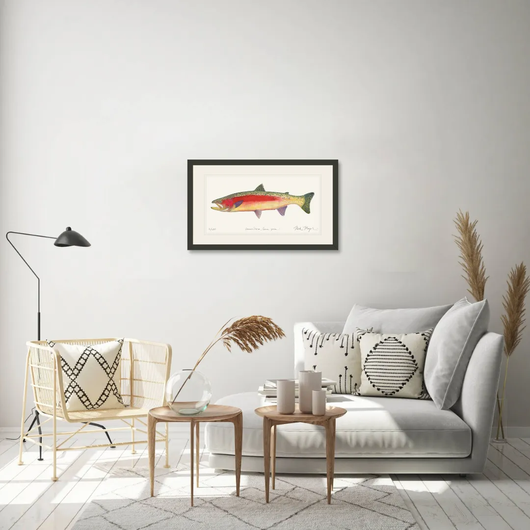 New Zealand Rainbow Trout Print