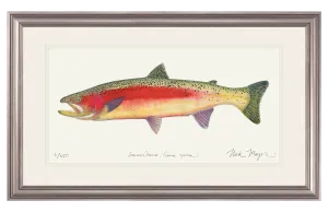 New Zealand Rainbow Trout Print