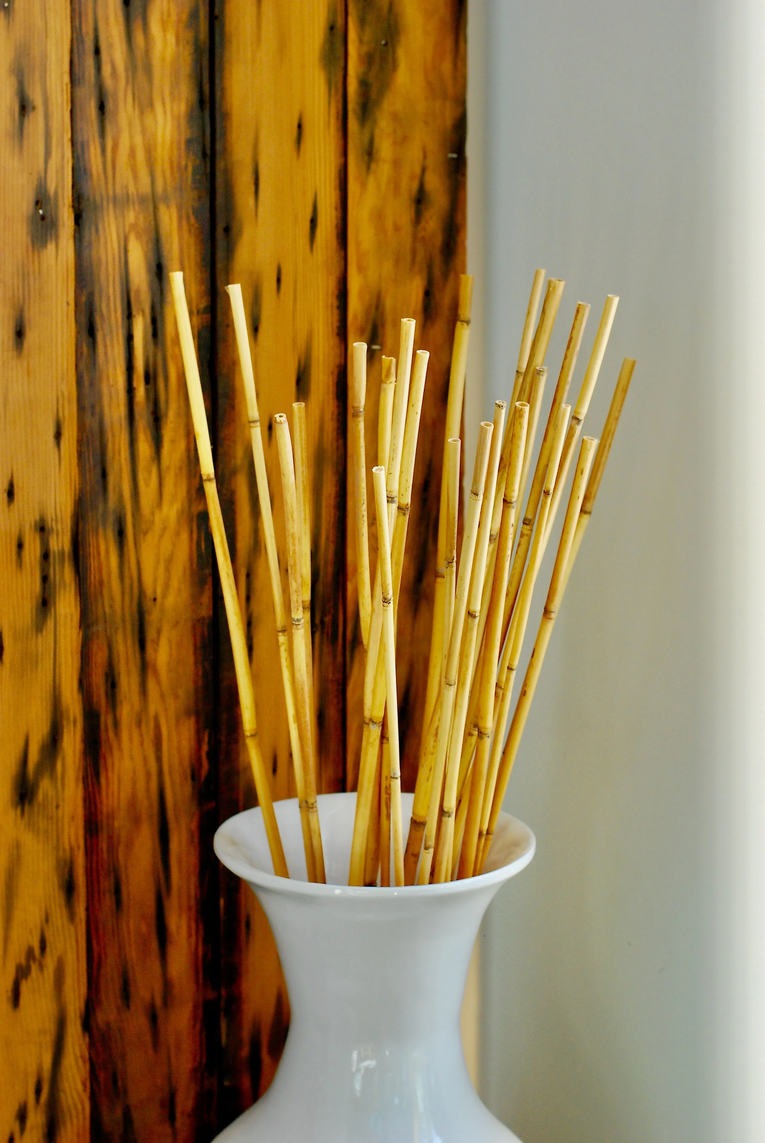 River Cane Bamboo Sticks