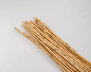 River Cane Bamboo Sticks