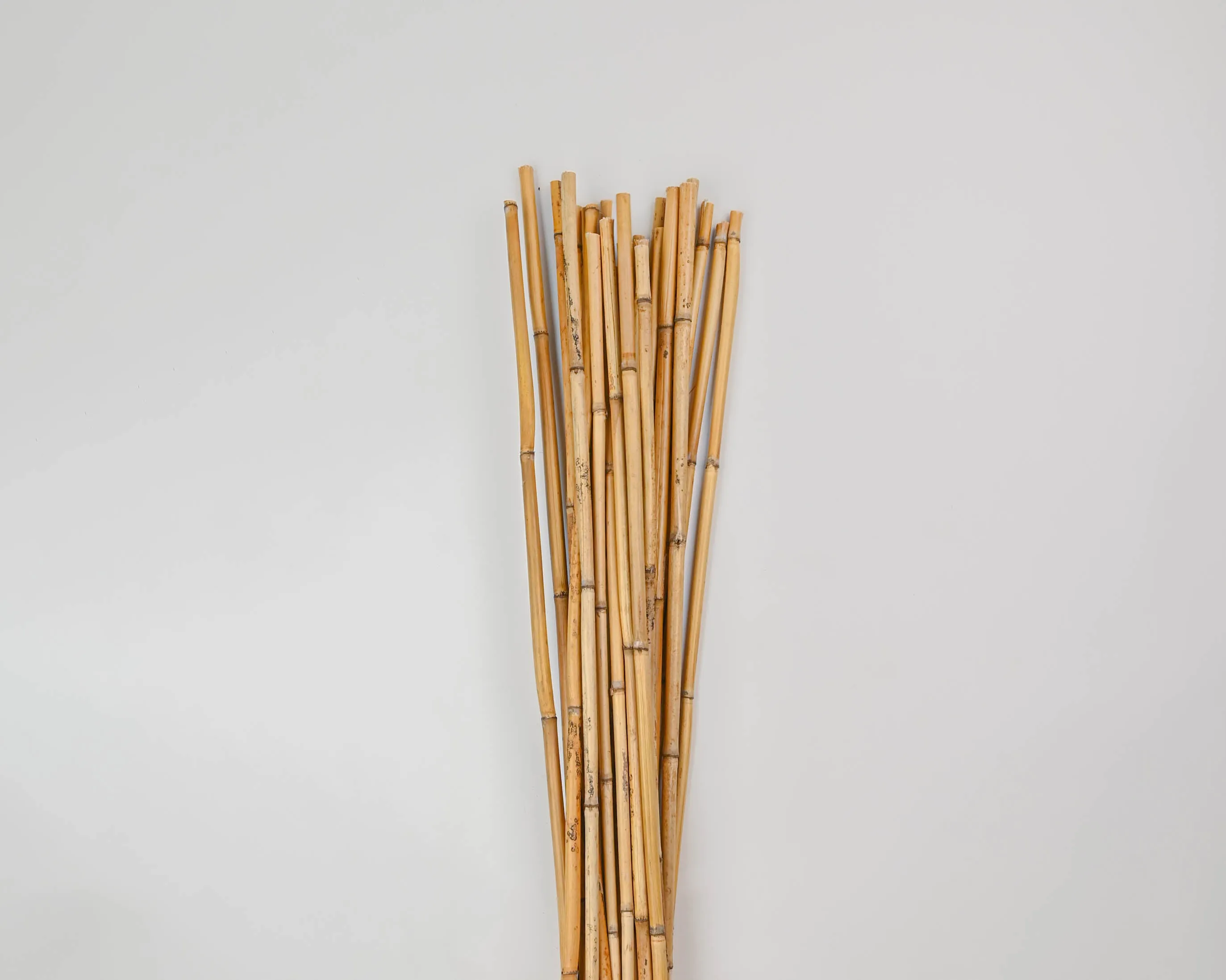 River Cane Bamboo Sticks